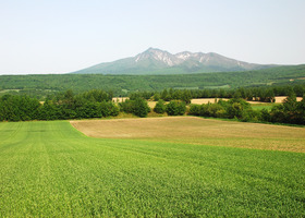 麦畑と斜里岳