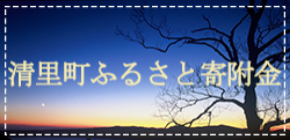 ふるさと寄附金